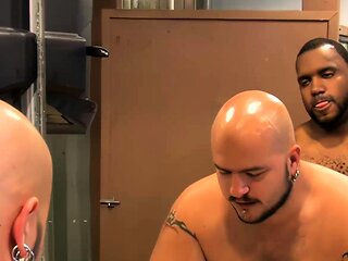 pierced bearfilms